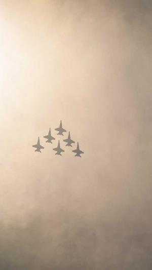 51吃瓜网在线观看截图5